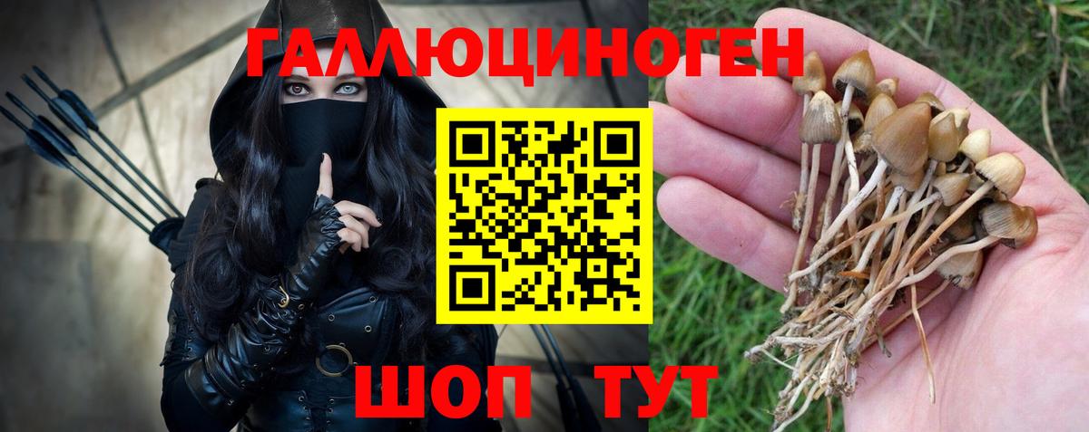 Псилоцибиновые грибы мухоморы Ишим